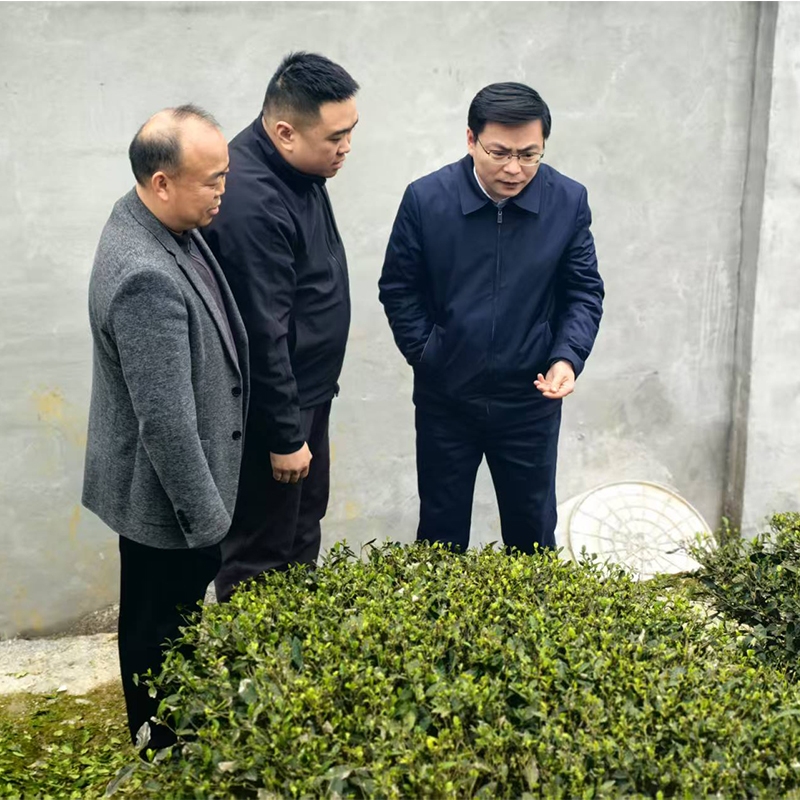 2025年3月11日恩施市市委副书记、市长郭玉锋一行参观调研