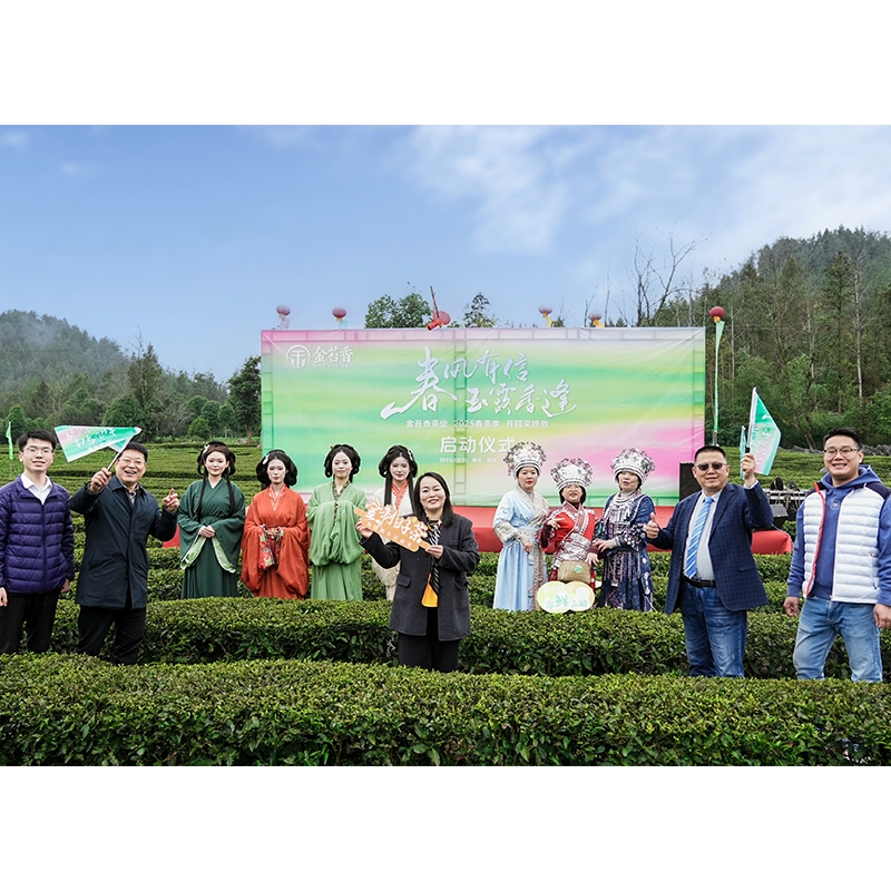 2025年3月15日春风有信-玉露相逢·春茶季