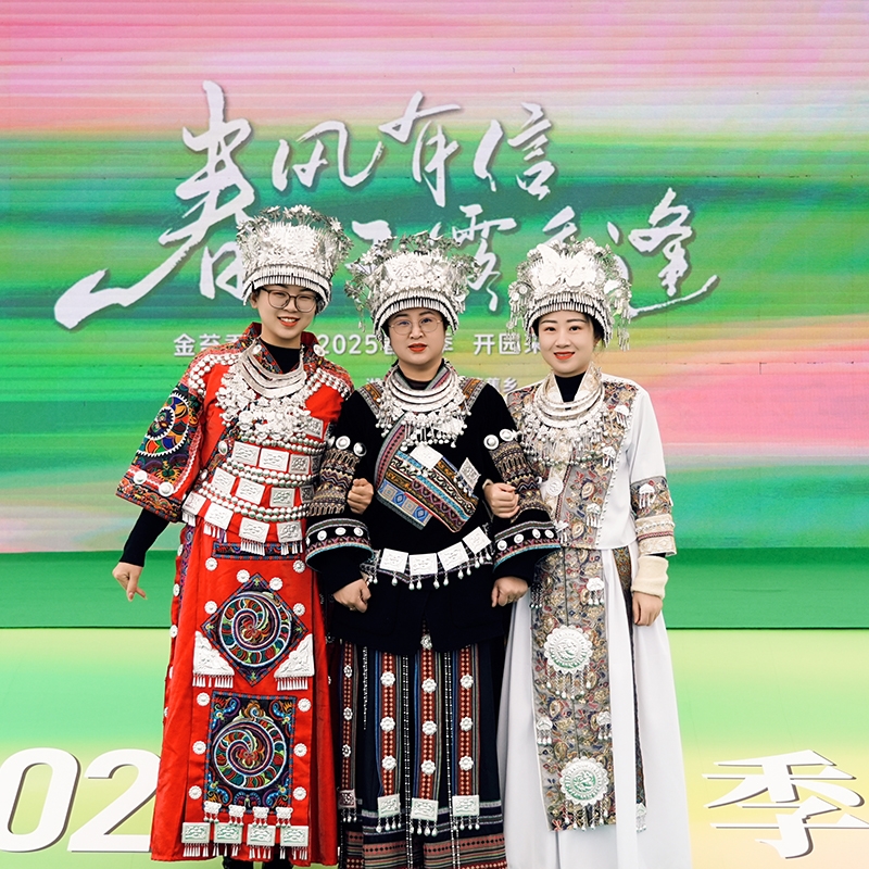 2025年3月15日春风有信-玉露相逢·春茶季