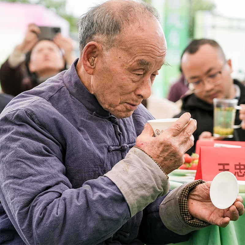 2025年3月15日春风有信-玉露相逢·春茶季