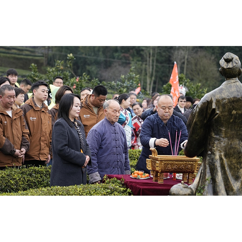 2025年3月15日春风有信-玉露相逢·春茶季