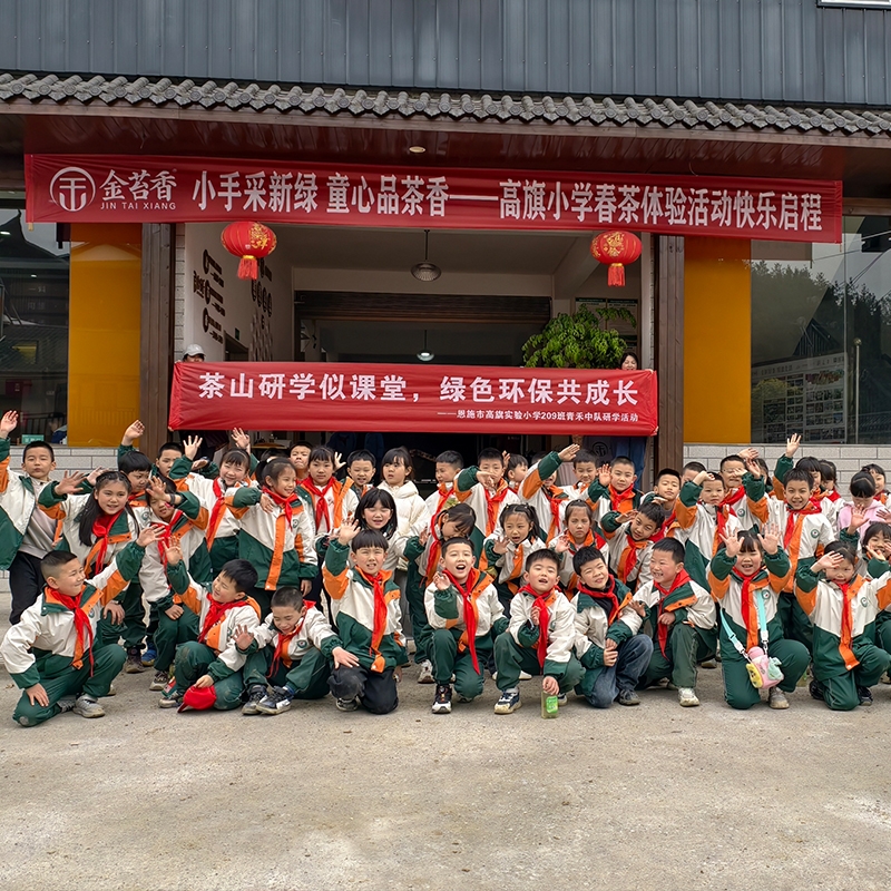 2025年3月30日茶润童心·一叶关情（高旗实验小学春茶体验活动））