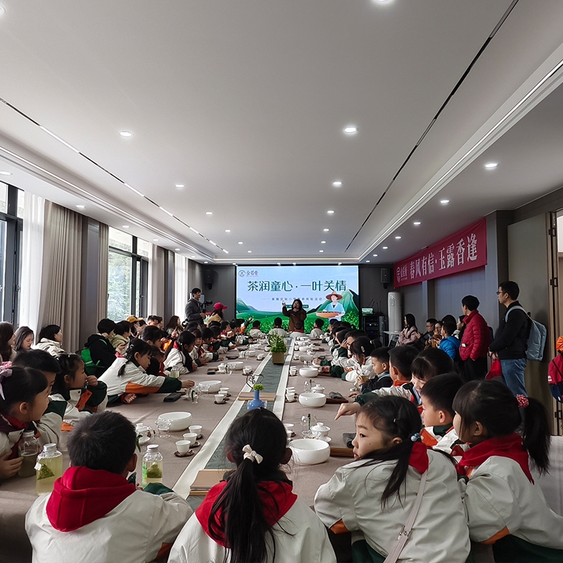 2025年3月30日茶润童心·一叶关情（高旗实验小学春茶体验活动））