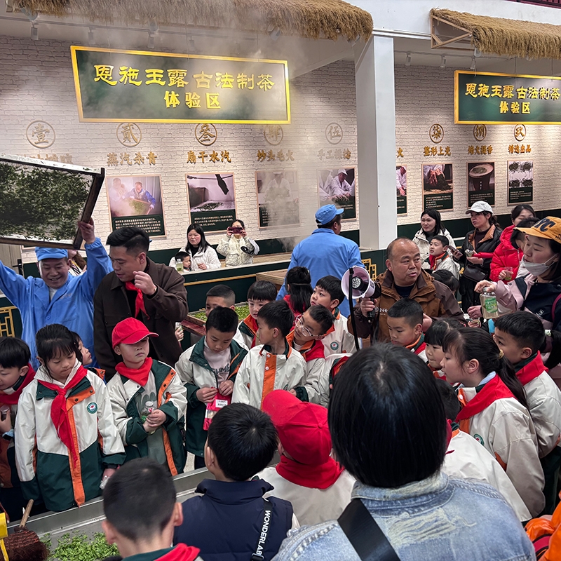 2025年3月30日茶润童心·一叶关情（高旗实验小学春茶体验活动））