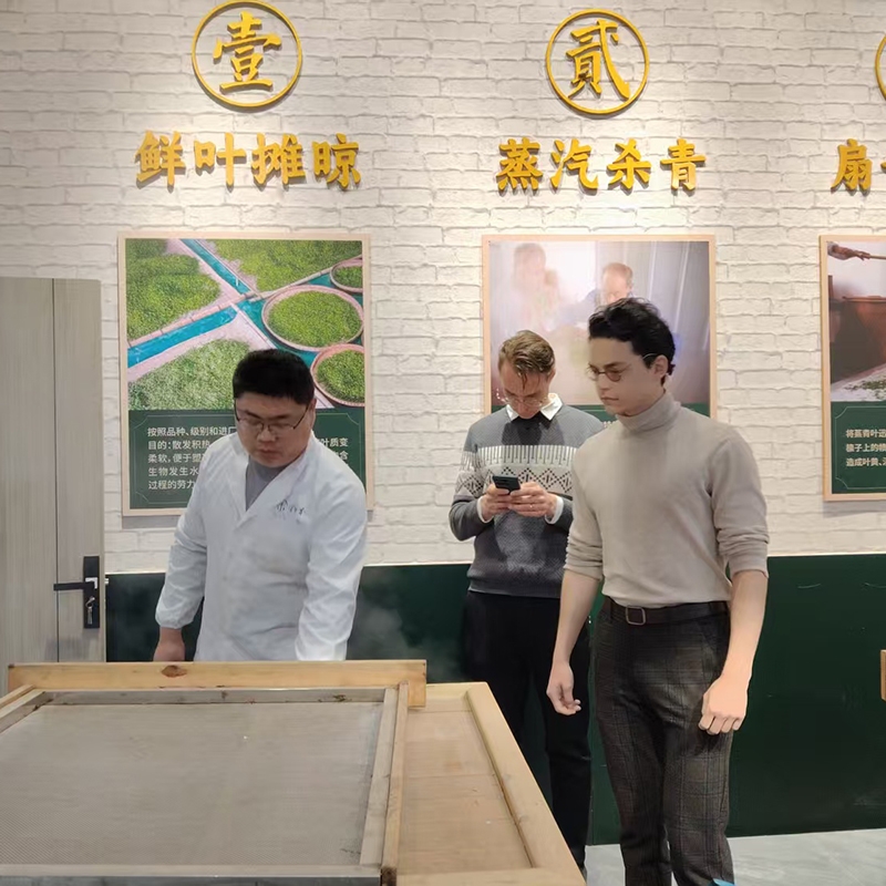 2025年4月1日加拿大客户到金苔香茶业参观学习