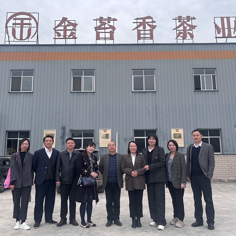 2025年4月2日香港贸发局陈凯芳一行莅临金苔香茶业考察参观指导