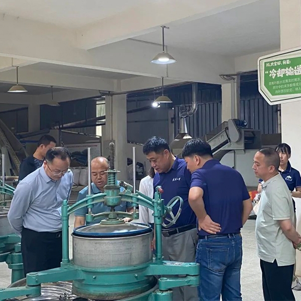 2025年4月18日武汉大学总务后勤保障部部长周军一行到金苔香茶业调研春茶生产情况