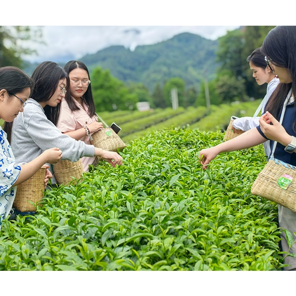 2025年6月3日中国海洋大学社会实践