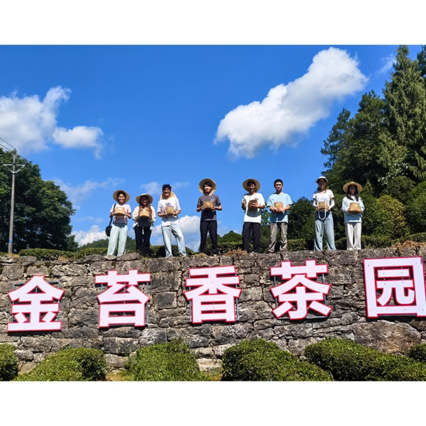 2025年7月3日华中农业大学工学部到金苔香茶业进行乡村振兴活动