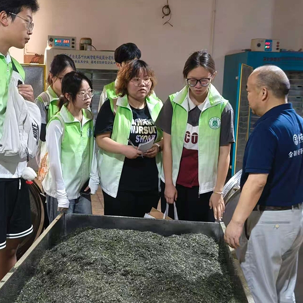 2025年7月5日华中农业大学生命科学技术学院到金苔香茶业参加暑期实践