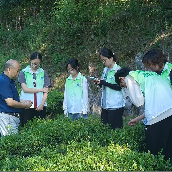 2025年7月5日华中农业大学生命科学技术学院到金苔香茶业参加暑期实践