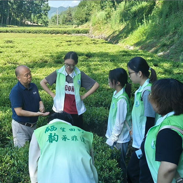 2025年7月5日华中农业大学生命科学技术学院到金苔香茶业参加暑期实践