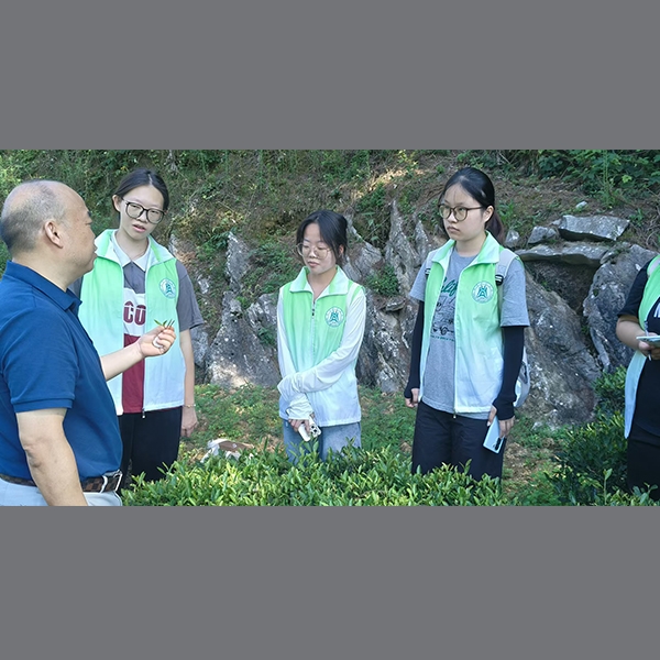 2025年7月5日华中农业大学生命科学技术学院到金苔香茶业参加暑期实践