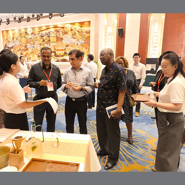 2025年7月7日世贸组织电子商务规则高级研讨会茶歇活动