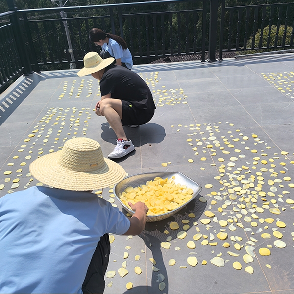 2025年7月9日华中农业大学人工智能+信息学院到金苔香茶业开展社会实践活动