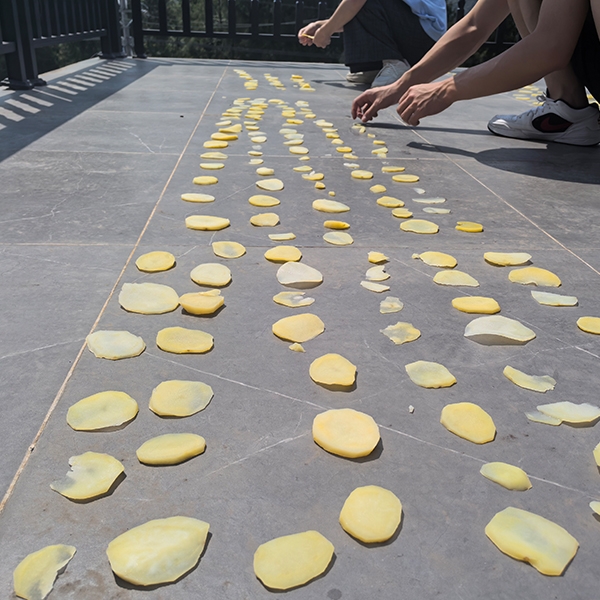 2025年7月9日华中农业大学人工智能+信息学院到金苔香茶业开展社会实践活动