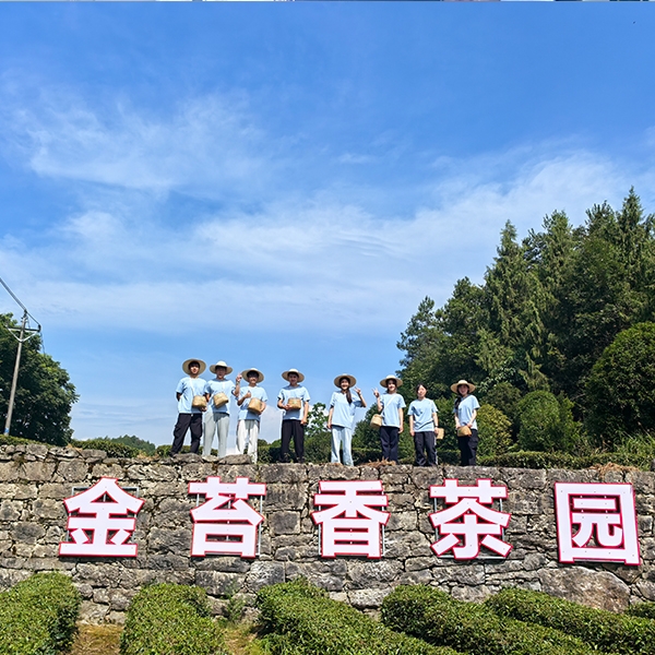 2025年7月9日华中农业大学人工智能+信息学院到金苔香茶业开展社会实践活动