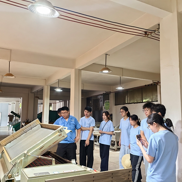 2025年7月9日华中农业大学人工智能+信息学院到金苔香茶业开展社会实践活动