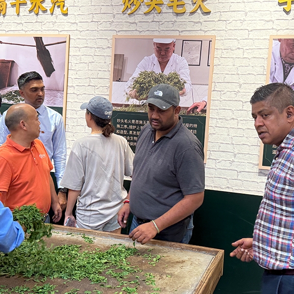 2025年7月22日斯里兰卡茶叶商贸代表团探访金苔香茶业生产基地