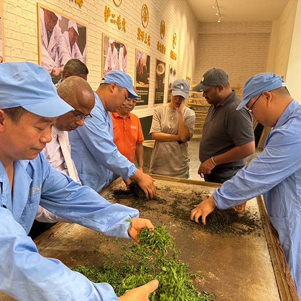 2025年7月22日斯里兰卡茶叶商贸代表团探访金苔香茶业生产基地