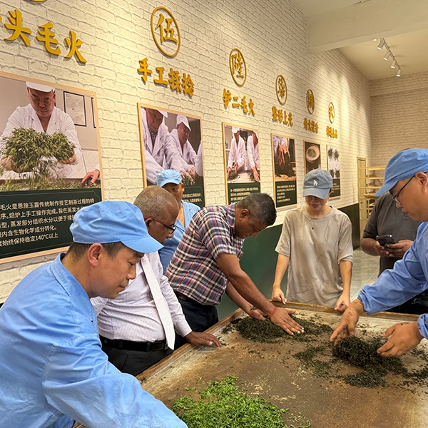 2025年7月22日斯里兰卡茶叶商贸代表团探访金苔香茶业生产基地