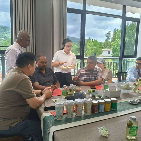 2025年7月22日斯里兰卡茶叶商贸代表团探访金苔香茶业生产基地