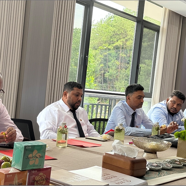 2025年7月22日斯里兰卡茶叶商贸代表团探访金苔香茶业生产基地