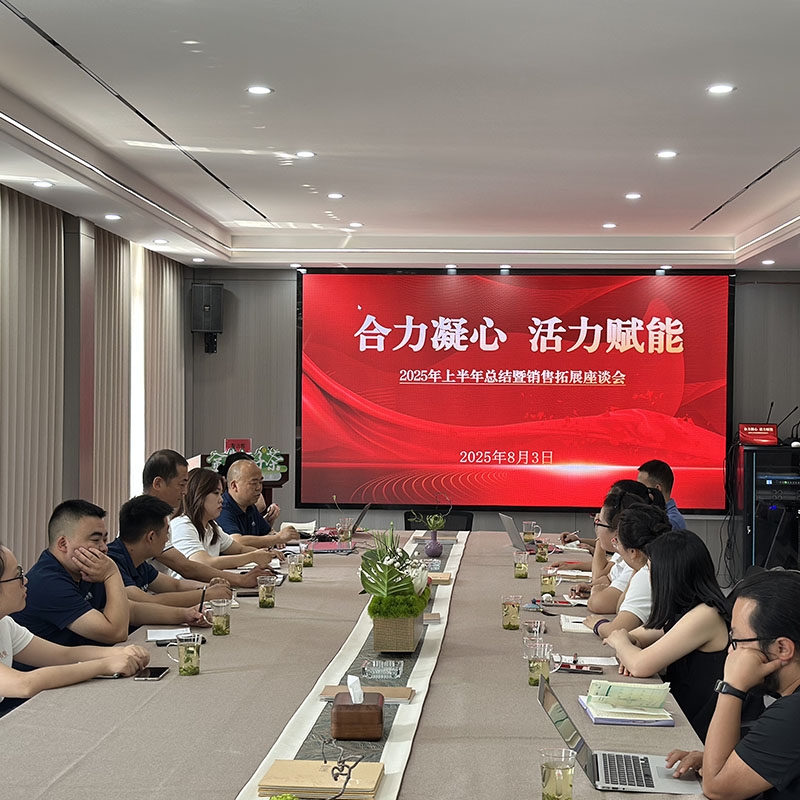 2025年8月3日合力凝心·活力赋能2025年上半年总结暨销售拓展座谈会