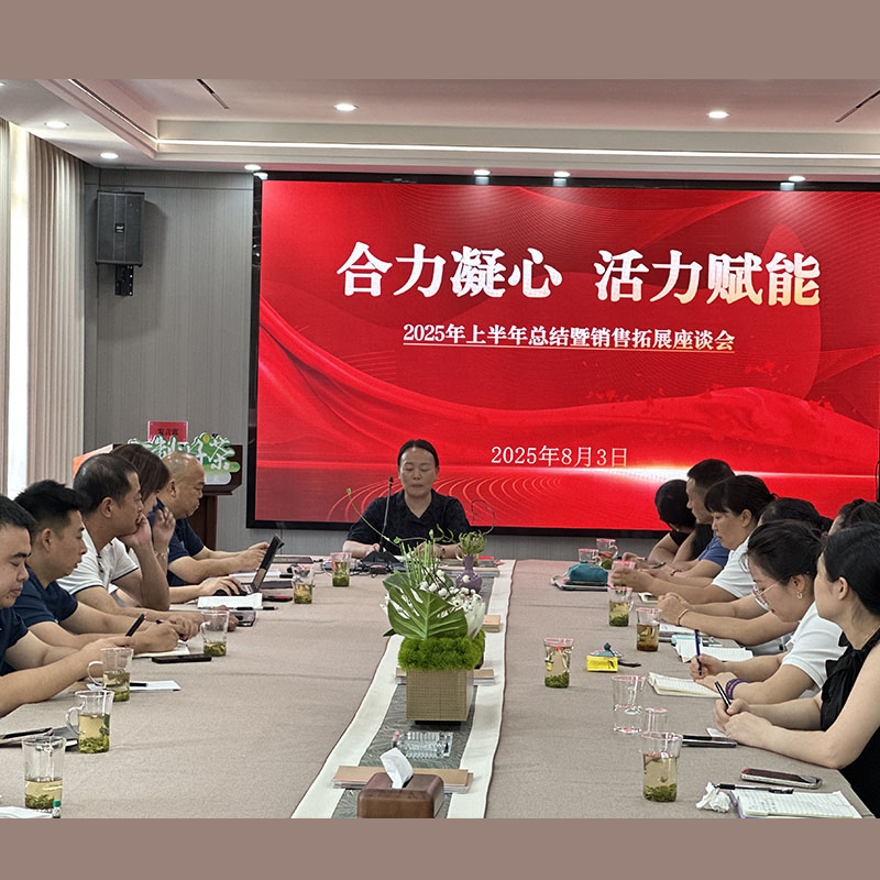 2025年8月3日合力凝心·活力赋能2025年上半年总结暨销售拓展座谈会