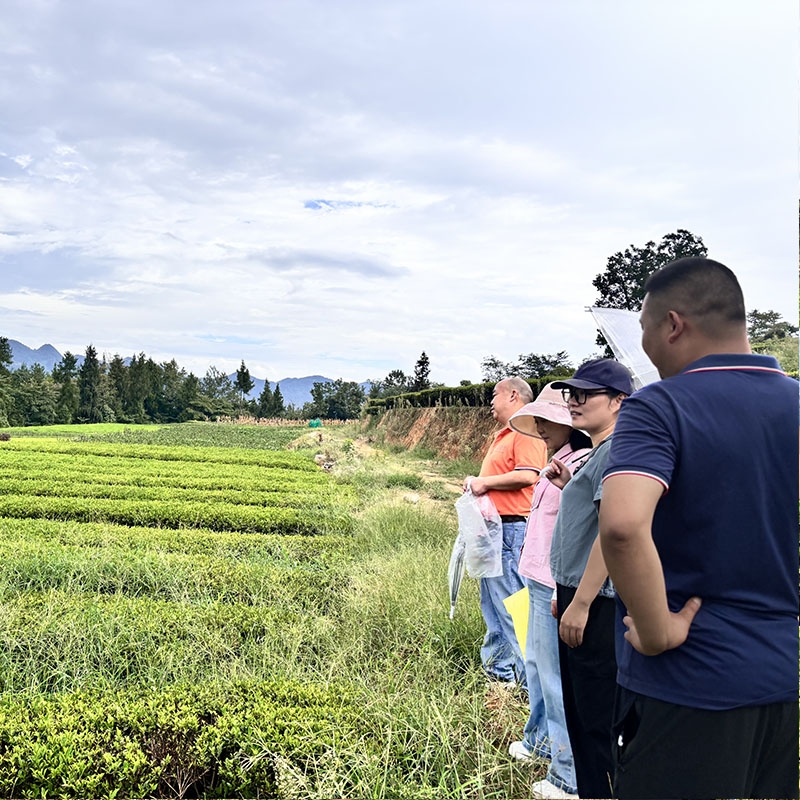 2025年8月23日有机基地认证复审