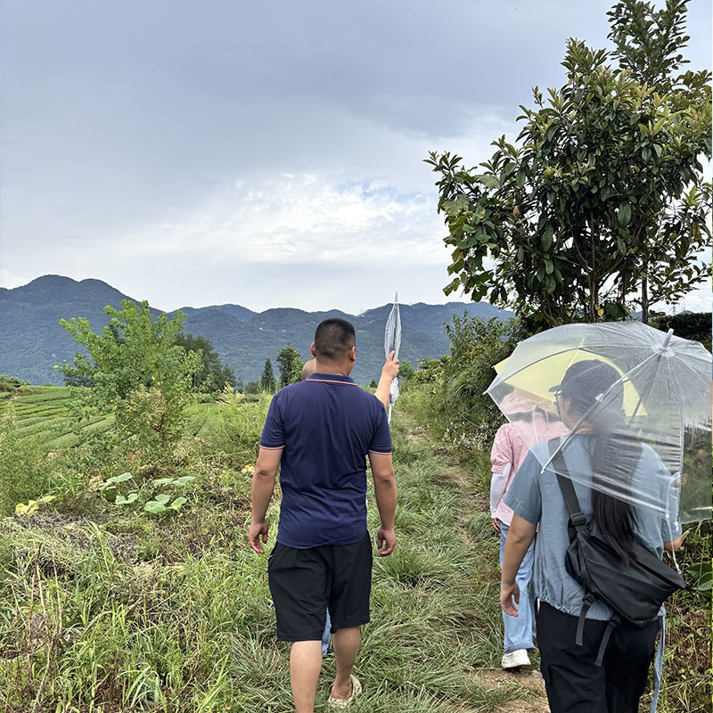 2025年8月23日有机基地认证复审