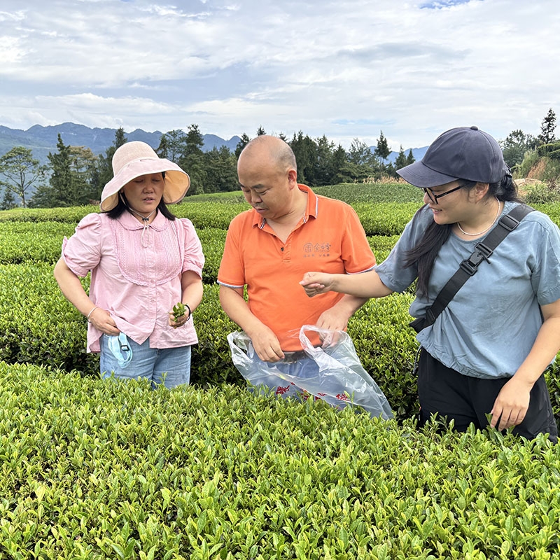2025年8月23日有机基地认证复审