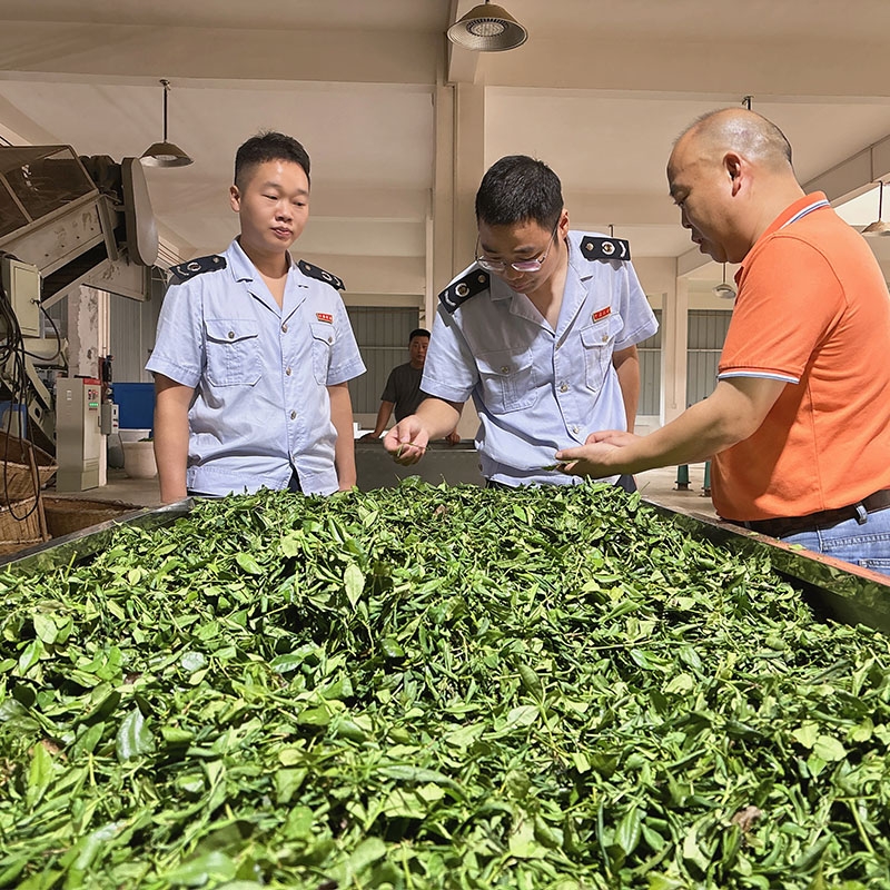 2025年9月9日恩施海关到金苔香茶业调研考察