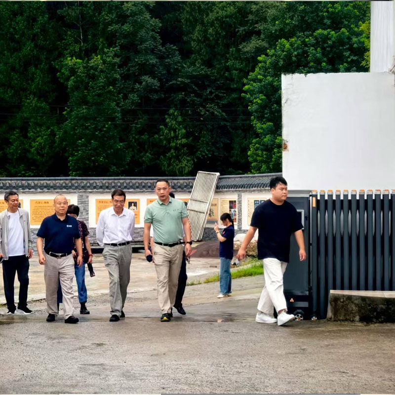 2025年9月13日中国科学院院士武汉大学高等研究院院长朱玉贤一行赴金苔香茶业调研
