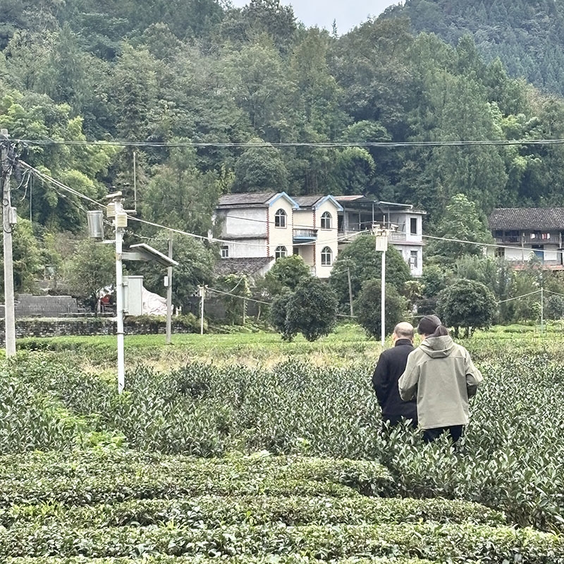 2025年10月20日富硒产品认证现场审核+基地检查