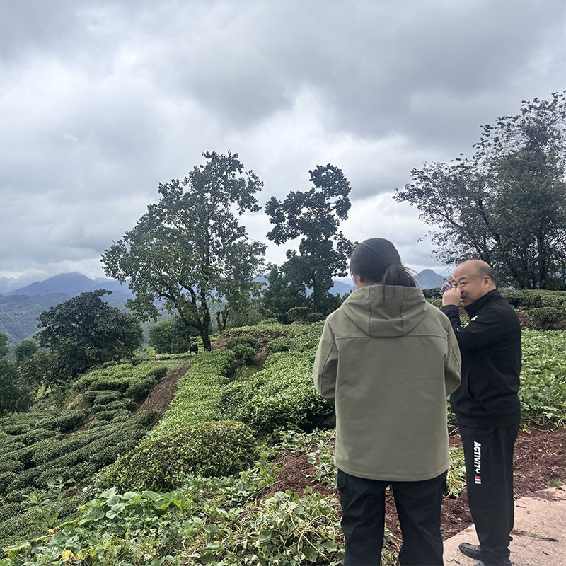 2025年10月20日富硒产品认证现场审核+基地检查