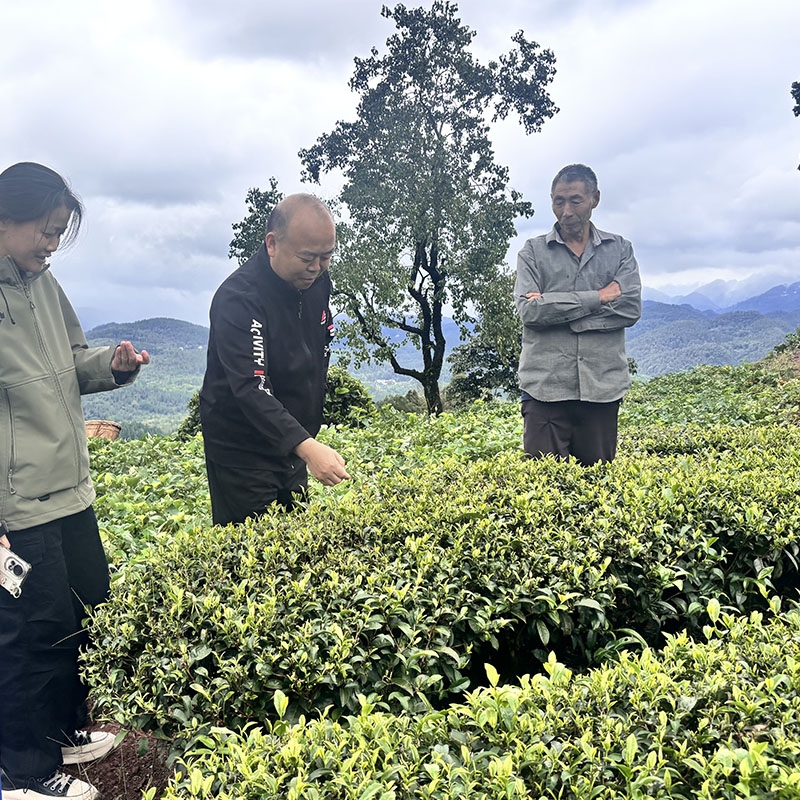 2025年10月20日富硒产品认证现场审核+基地检查