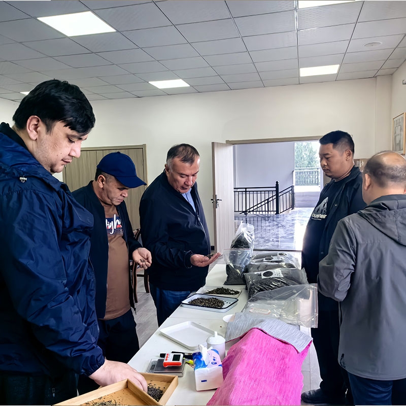 2025年11月5日广交会结识乌兹别克斯坦客户到金苔香茶业选样并达成交易合作