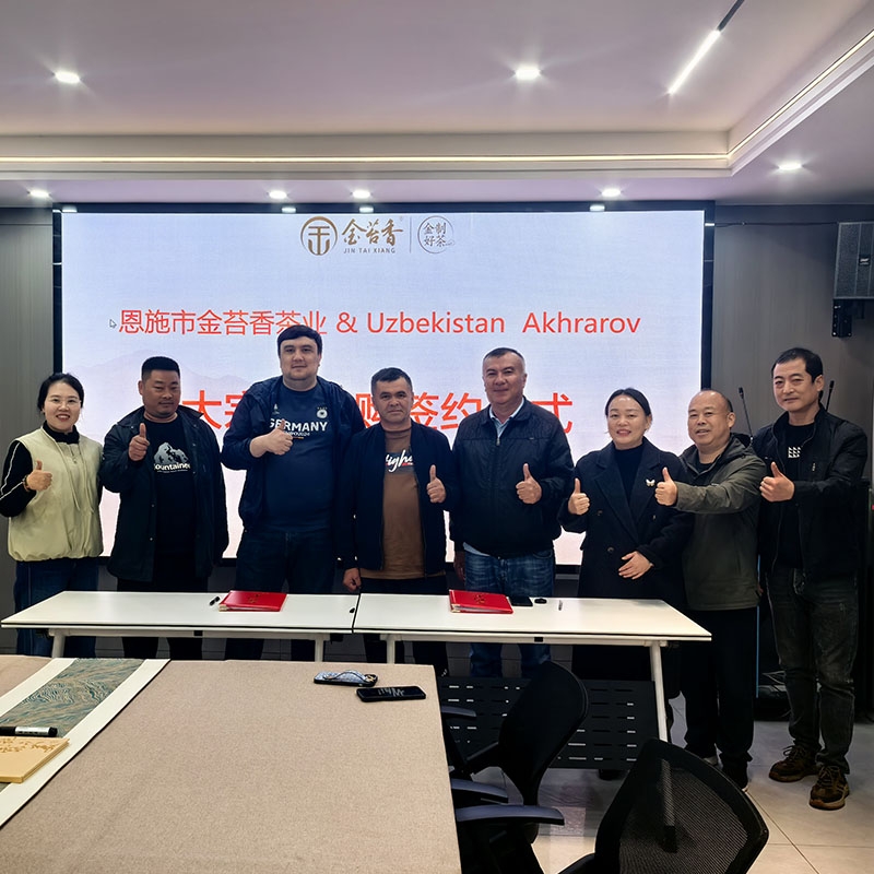 2025年11月5日广交会结识乌兹别克斯坦客户到金苔香茶业选样并达成交易合作