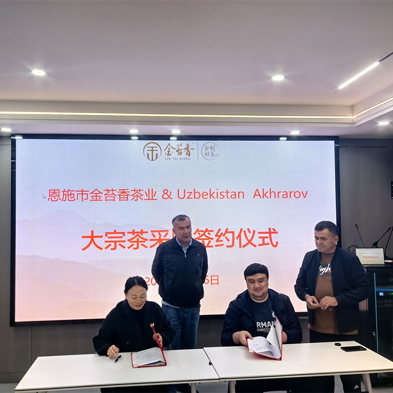 2025年11月5日广交会结识乌兹别克斯坦客户到金苔香茶业选样并达成交易合作