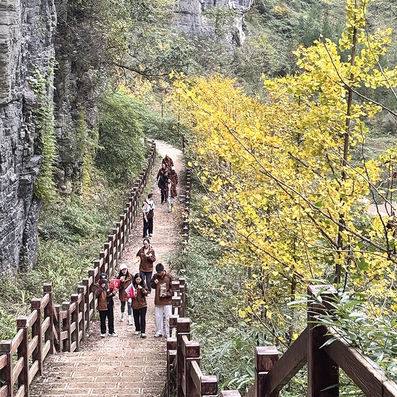 2025年11月15日金苔香清江古河床徒步团建活动