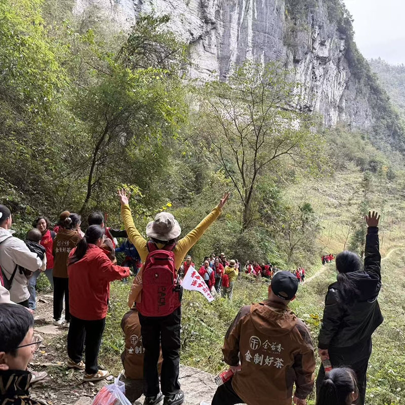 2025年11月15日金苔香清江古河床徒步团建活动