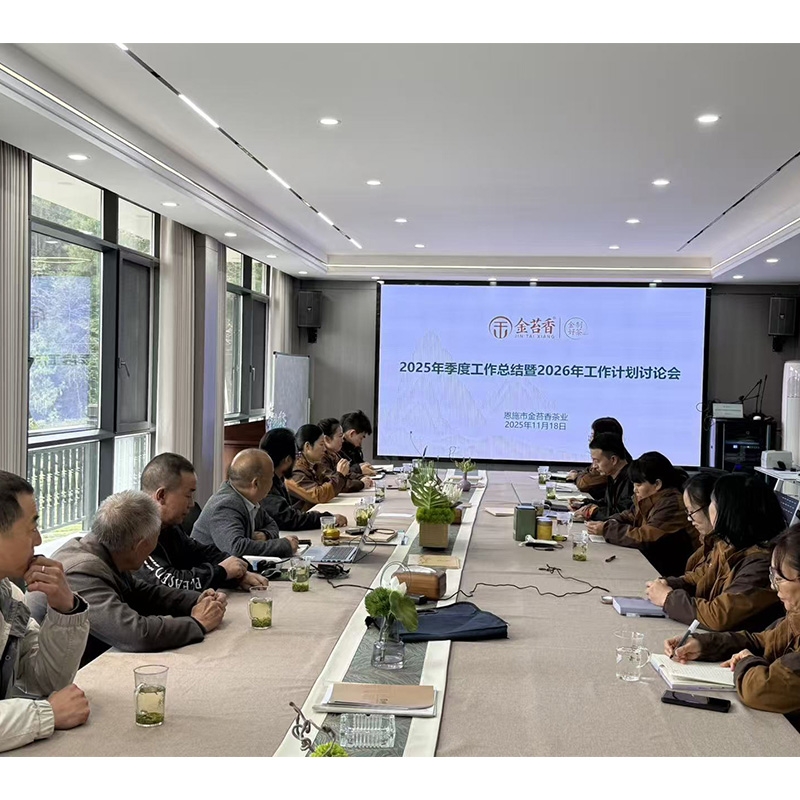 2025年11月17日-2025年度工作总结暨2026年工作计划讨论会