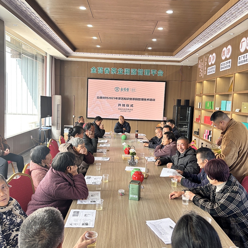 2025年11月24日白果树村2025年茶艺知识暨茶园管理技术培训