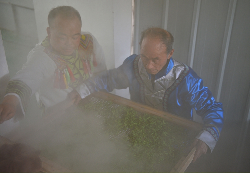 茶叶加工