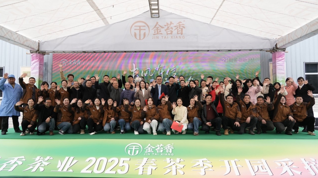 金苔香茶业2025春茶开园采摘节暨新品发布会圆满结束！
