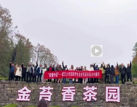 武汉大学国际教育学院留学生考察团一行赴金苔香茶业生产基地开展实地调研