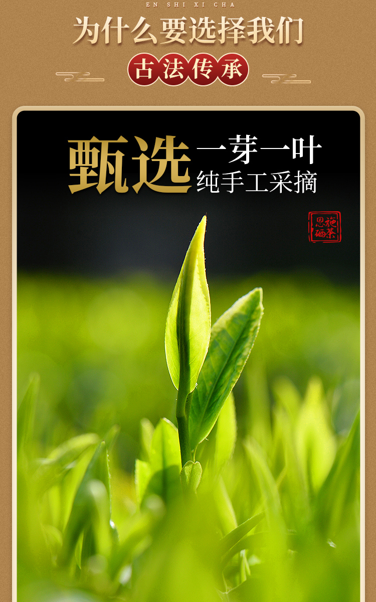 金玉露_03.jpg