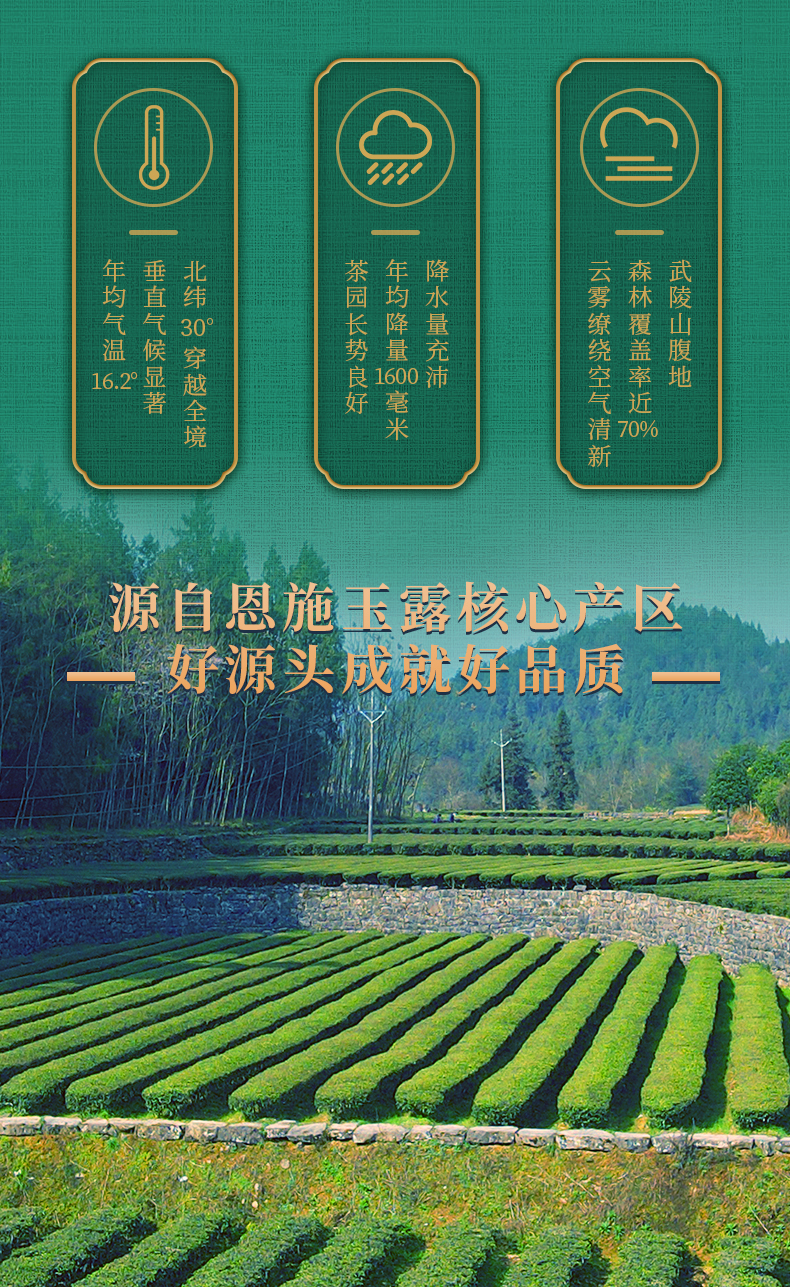 详情_02.jpg